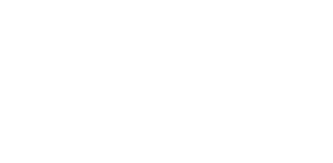 Bullguer